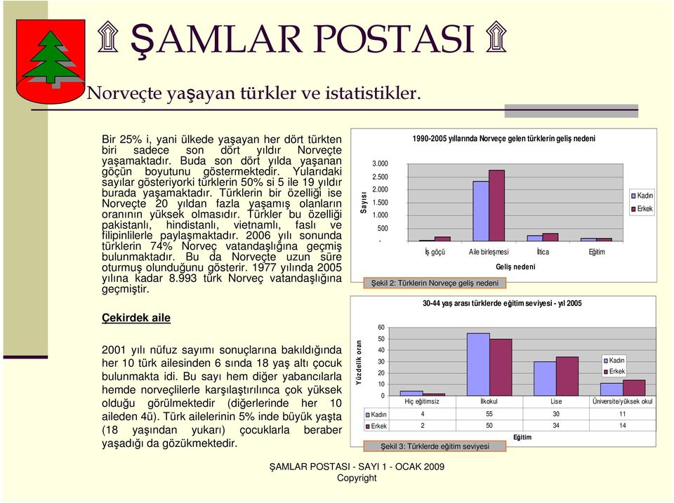 Türkler bu özelliği pakistanlı, hindistanlı, vietnamlı, faslı ve filipinlilerle paylaşmaktadır. 2006 yılı sonunda türklerin 74% Norveç vatandaşlığına geçmiş bulunmaktadır.