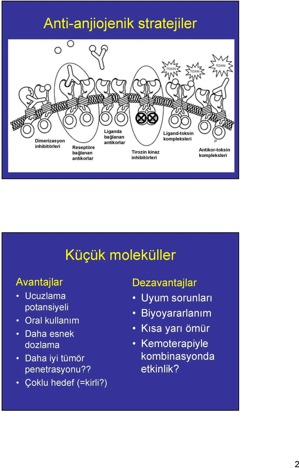 moleküller Avantajlar Ucuzlama potansiyeli Oral kullanım Daha esnek dozlama Daha iyi tümör penetrasyonu?