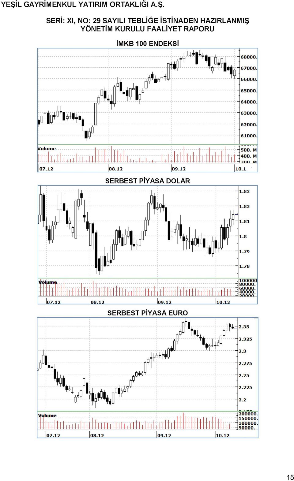 SERBEST PİYASA