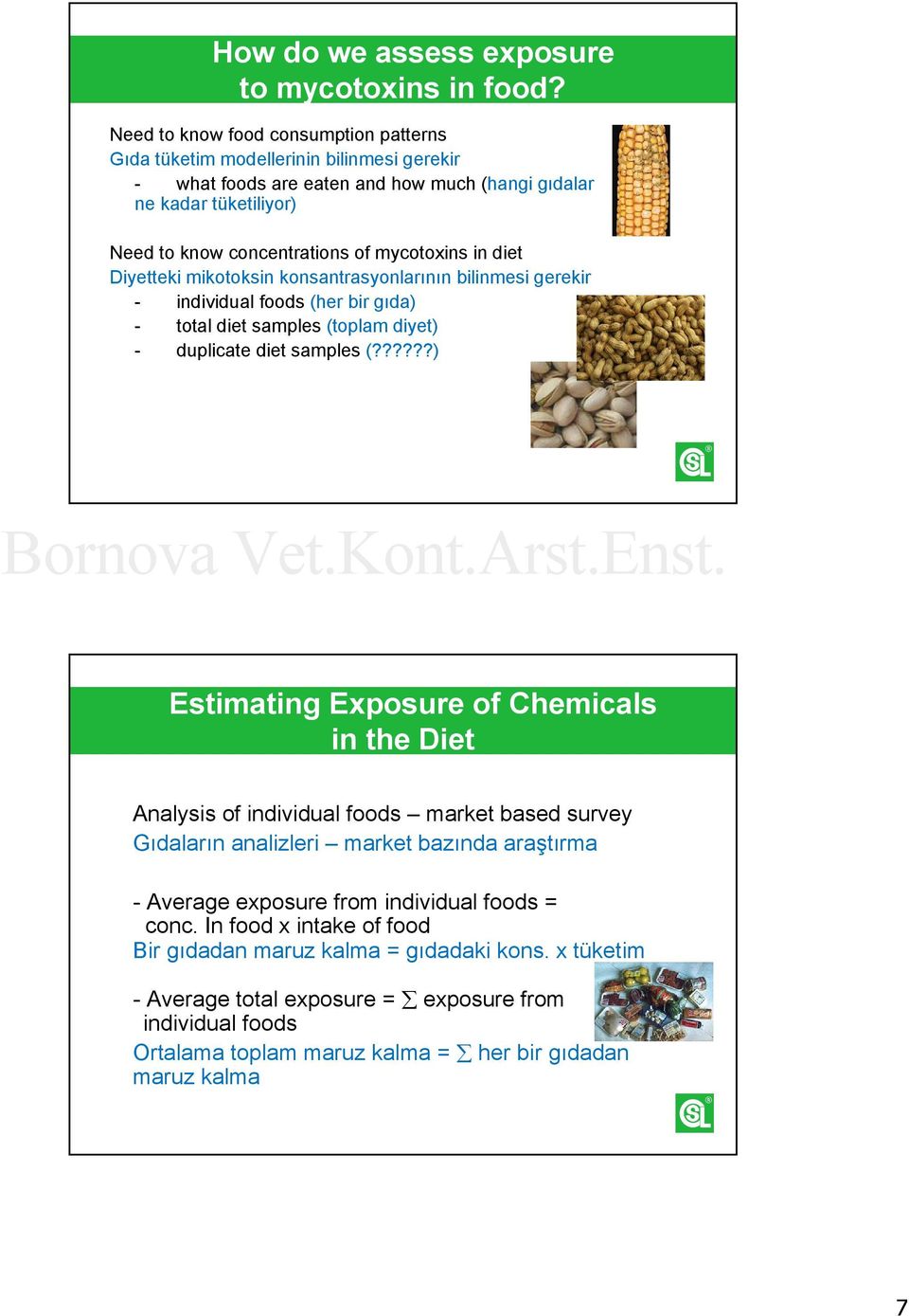 in diet Diyetteki mikotoksin konsantrasyonlarının bilinmesi gerekir - individual foods (her bir gıda) - total diet samples (toplam diyet) - duplicate diet samples (?