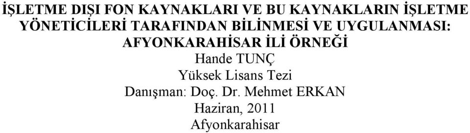 AFYONKARAHİSAR İLİ ÖRNEĞİ Hande TUNÇ Yüksek Lisans