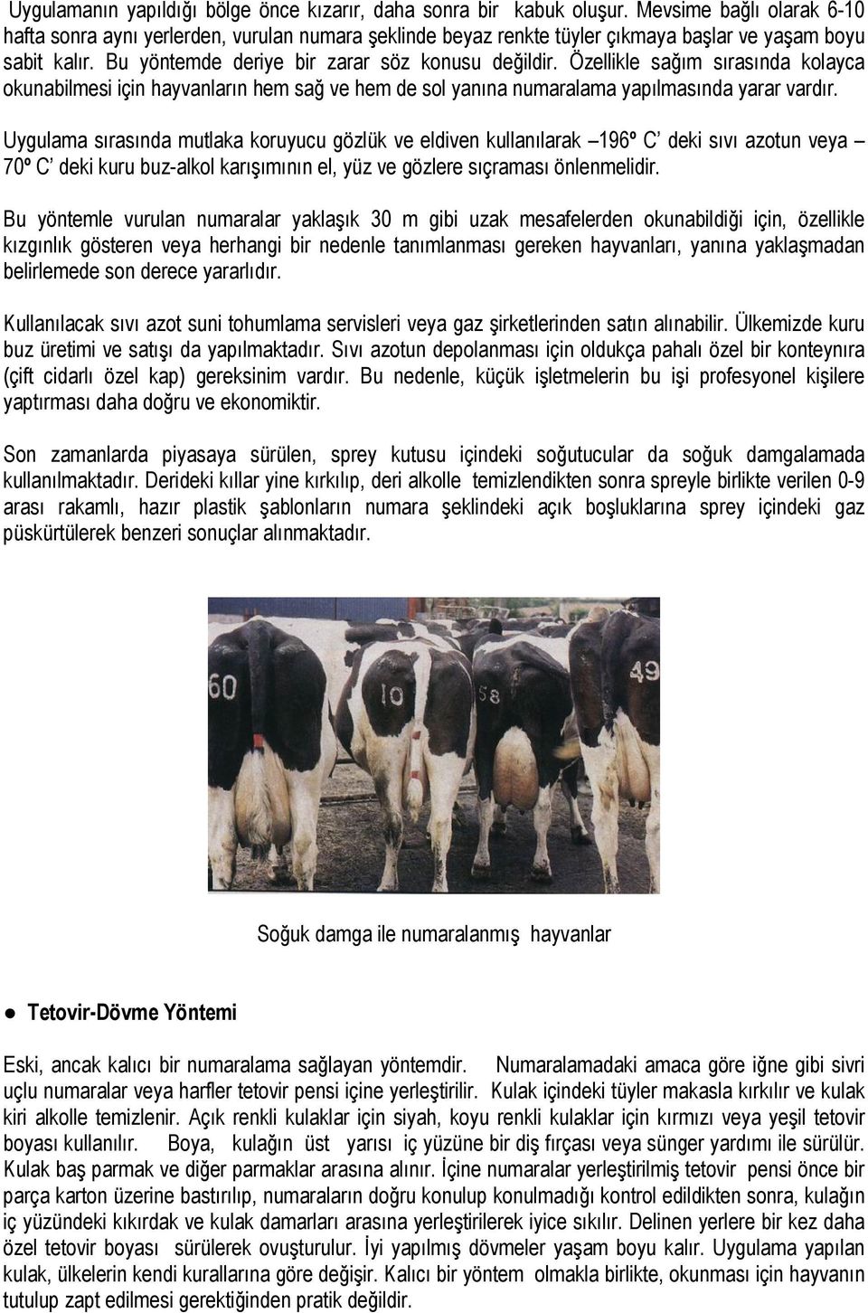 Özellikle sağım sırasında kolayca okunabilmesi için hayvanların hem sağ ve hem de sol yanına numaralama yapılmasında yarar vardır.