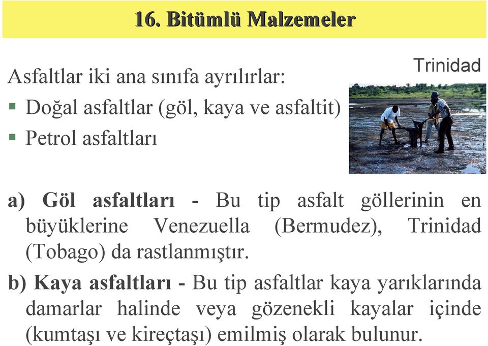 (Bermudez), Trinidad (Tobago) da rastlanmıştır.