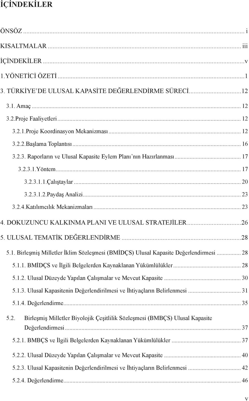 Katılımcılık Mekanizmaları... 23 4. DOKUZUNCU KALKINMA PLANI VE ULUSAL STRATEJİLER...26 5. ULUSAL TEMATİK DEĞERLENDİRME...28 5.1.