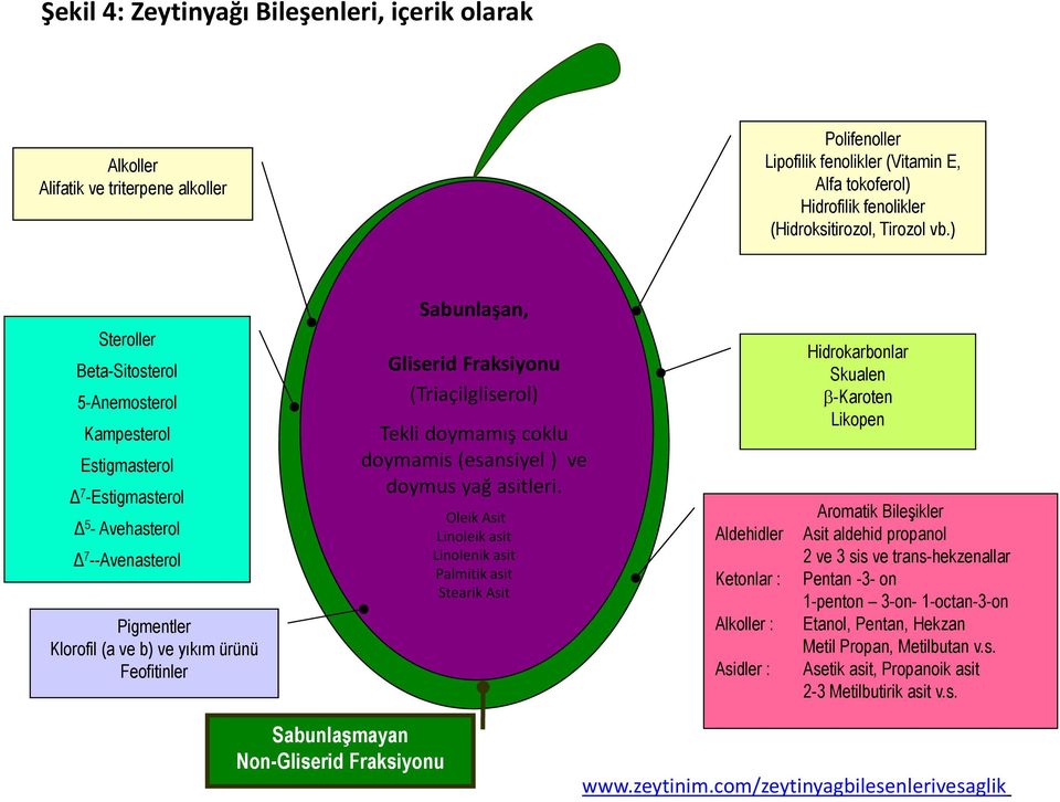 Gliserid Fraksiyonu (Triaçilgliserol) Tekli doymamış coklu doymamis (esansiyel ) ve doymus yağ asitleri.