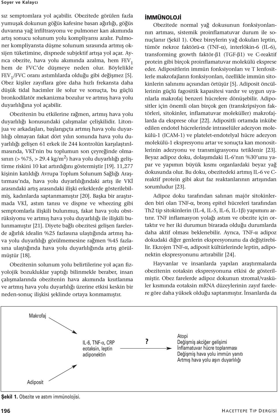 Pulmoner kompliyansta düşme solunum sırasında artmış oksijen tüketimine, dispnede subjektif artışa yol açar. Ayrıca obezite, hava yolu akımında azalma, hem FEV 1 hem de FVC de düşmeye neden olur.