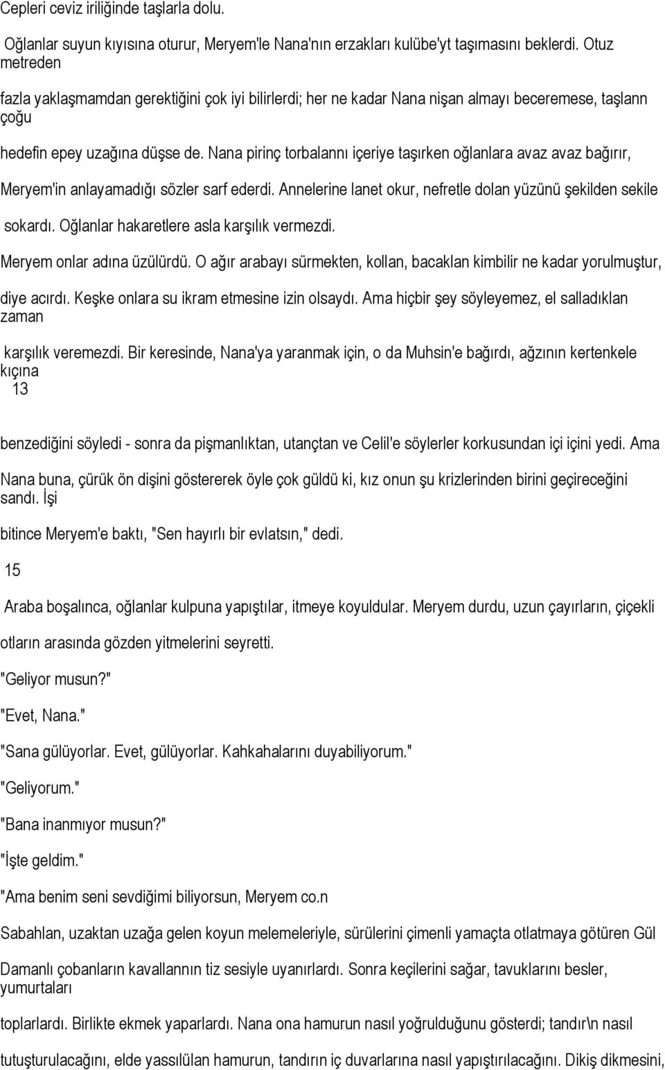 Nana pirinç torbalannı içeriye taşırken oğlanlara avaz avaz bağırır, Meryem'in anlayamadığı sözler sarf ederdi. Annelerine lanet okur, nefretle dolan yüzünü şekilden sekile sokardı.