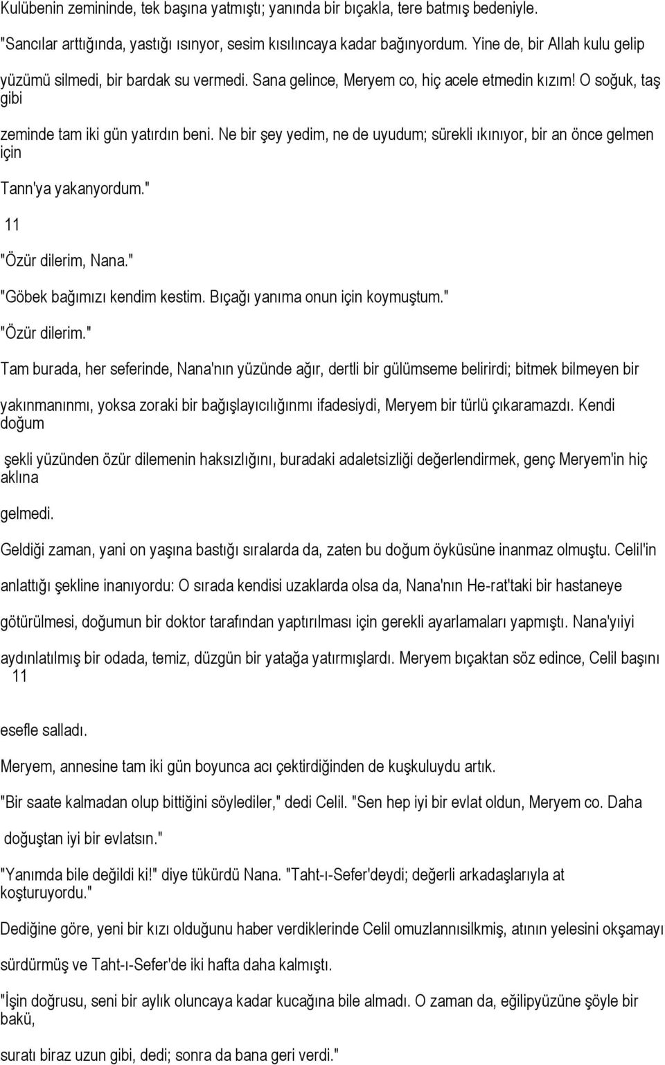 Ne bir şey yedim, ne de uyudum; sürekli ıkınıyor, bir an önce gelmen için Tann'ya yakanyordum." 11 "Özür dilerim, Nana." "Göbek bağımızı kendim kestim. Bıçağı yanıma onun için koymuştum.