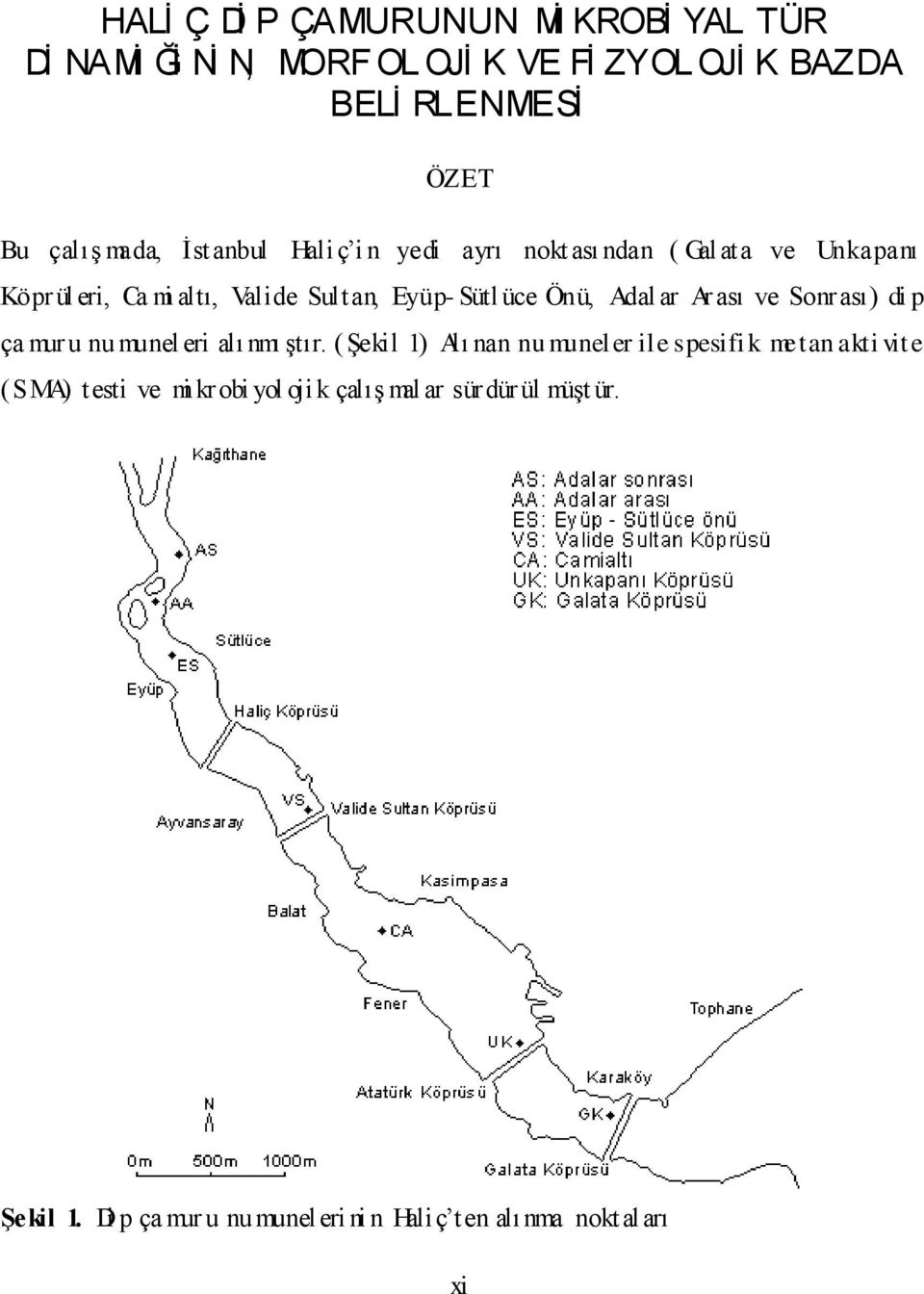 Adal ar Ar ası ve Sonrası) di p ça mur u nu munel eri alı nmı ştır.