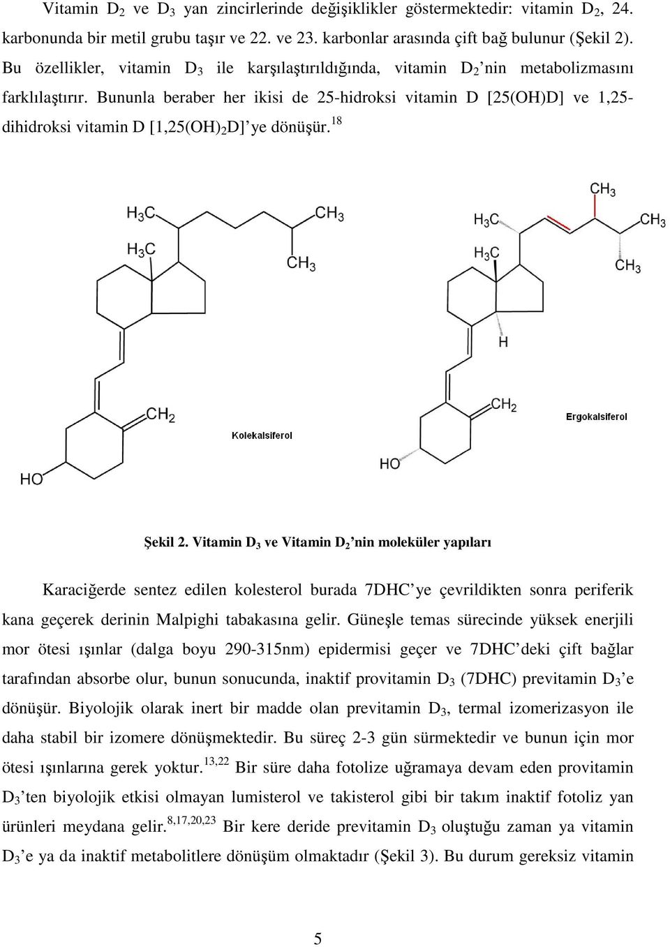 Bununla beraber her ikisi de 25-hidroksi vitamin D [25(OH)D] ve 1,25- dihidroksi vitamin D [1,25(OH) 2 D] ye dönüşür. 18 Şekil 2.