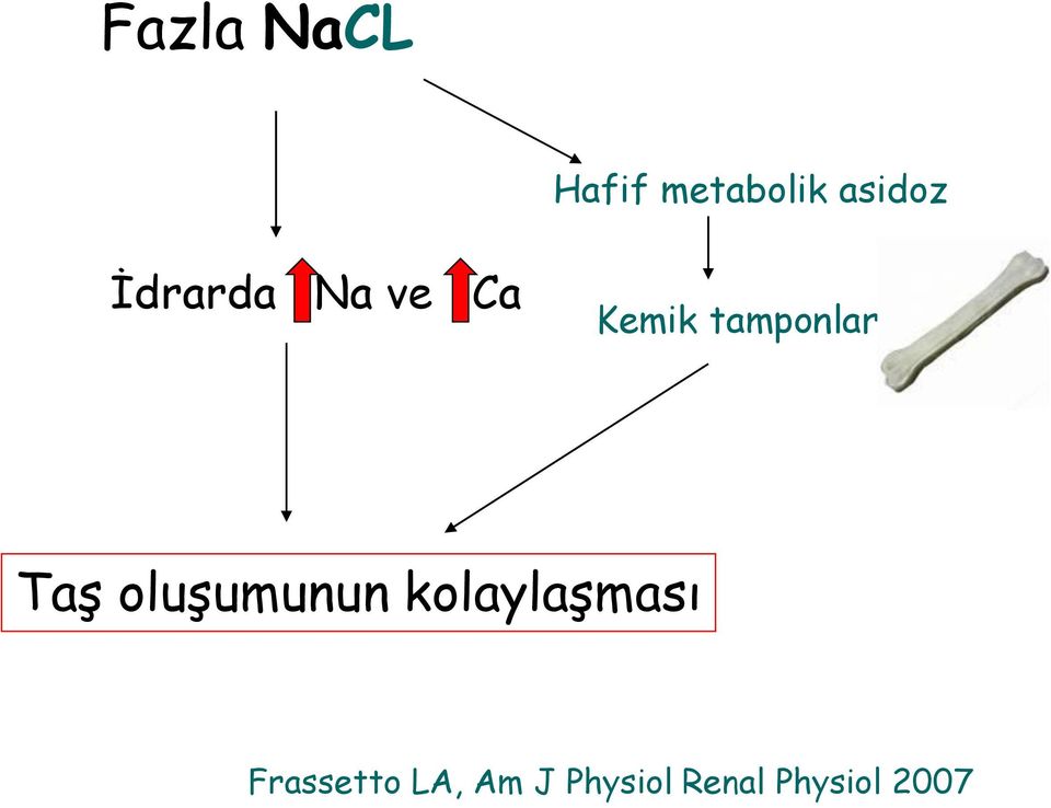 Taş oluşumunun kolaylaşması