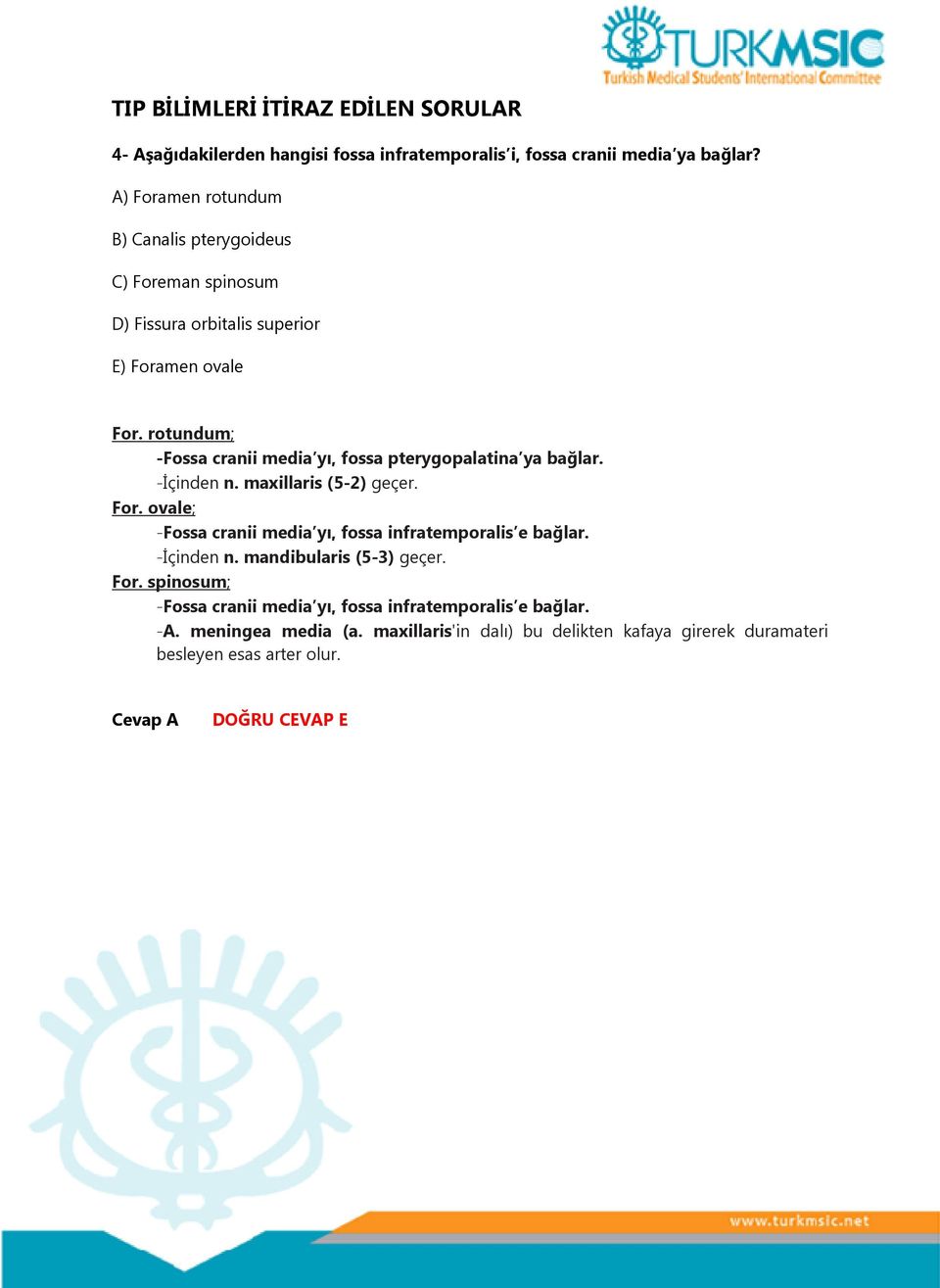 rotundum; -Fossa cranii media yı, fossa pterygopalatina ya bağlar. -İçinden n. maxillaris (5-2) geçer. For.