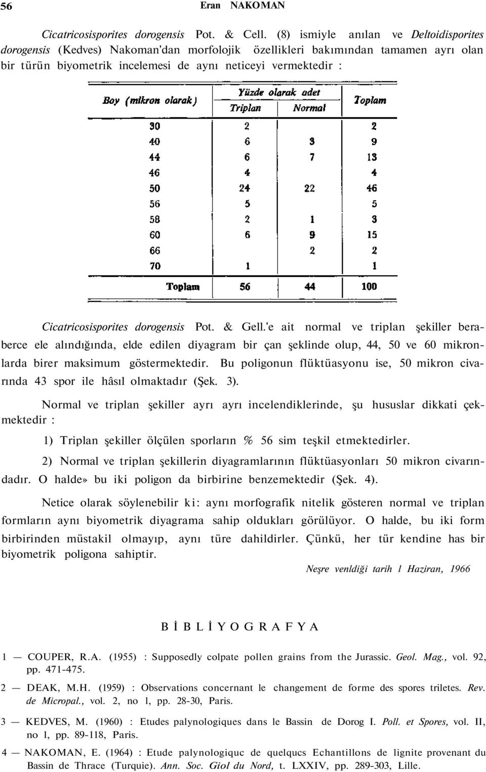 Cicatricosisporites dorogensis Pot. & Gell.