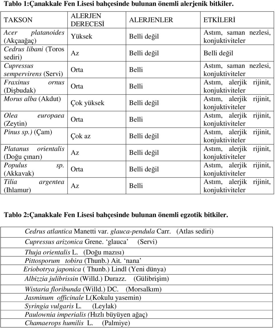 ) (Çam) Platanus orientalis (Doğu çınarı) Populus sp.