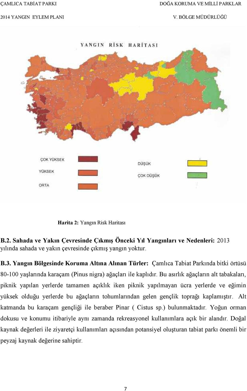 Yangın Bölgesinde Koruma Altına Alınan Türler: Çamlıca Tabiat Parkında bitki örtüsü 80-100 yaşlarında karaçam (Pinus nigra) ağaçları ile kaplıdır.