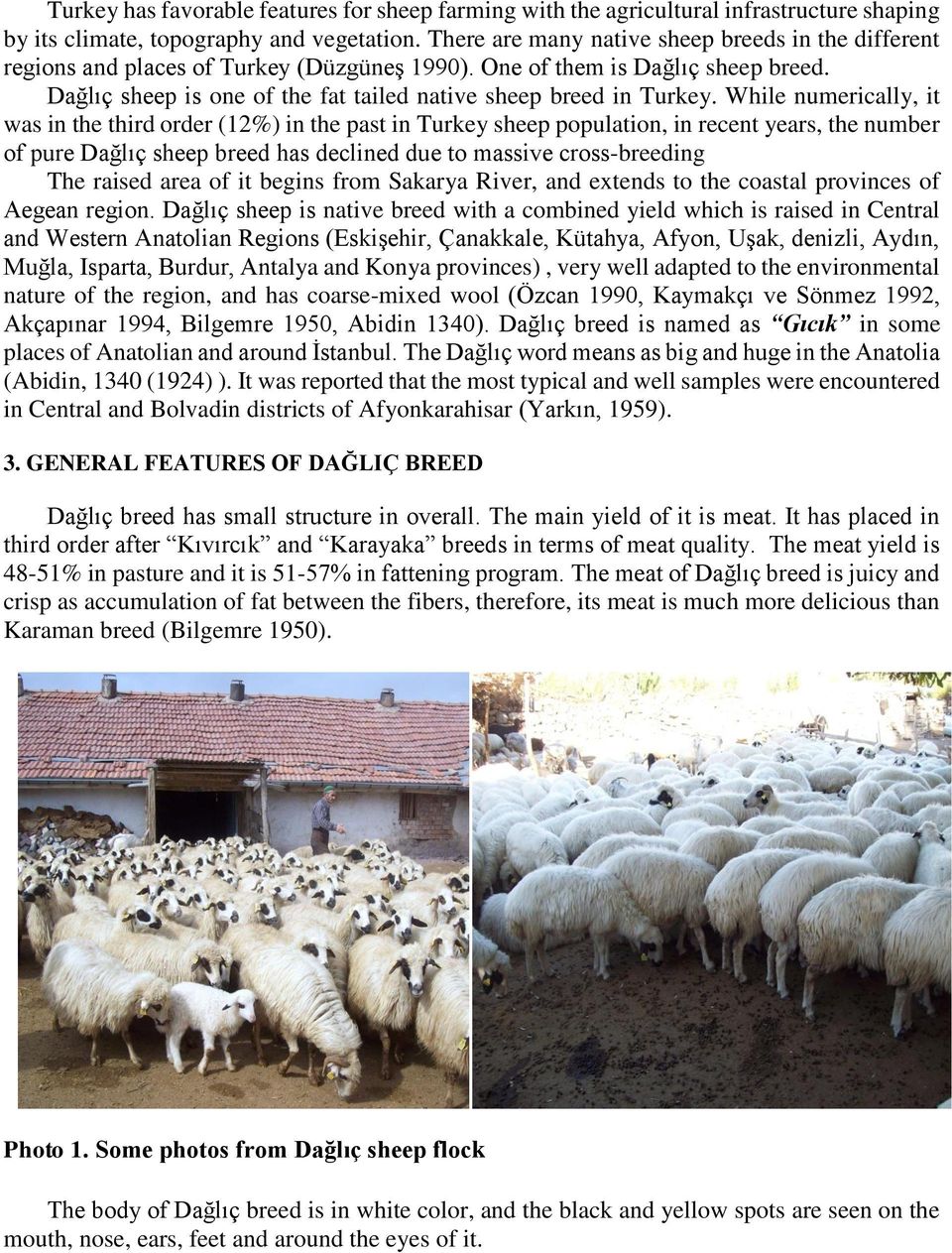 While numerically, it was in the third order (12%) in the past in Turkey sheep population, in recent years, the number of pure Dağlıç sheep breed has declined due to massive cross-breeding The raised