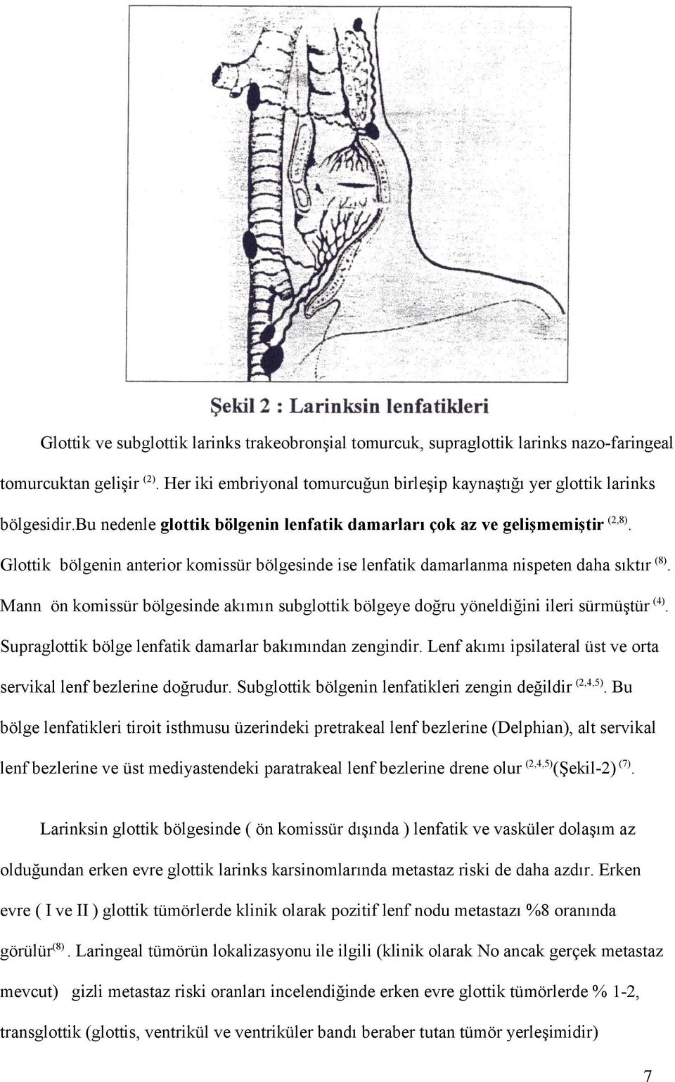 Mann ön komissür bölgesinde akımın subglottik bölgeye doğru yöneldiğini ileri sürmüştür (4). Supraglottik bölge lenfatik damarlar bakımından zengindir.