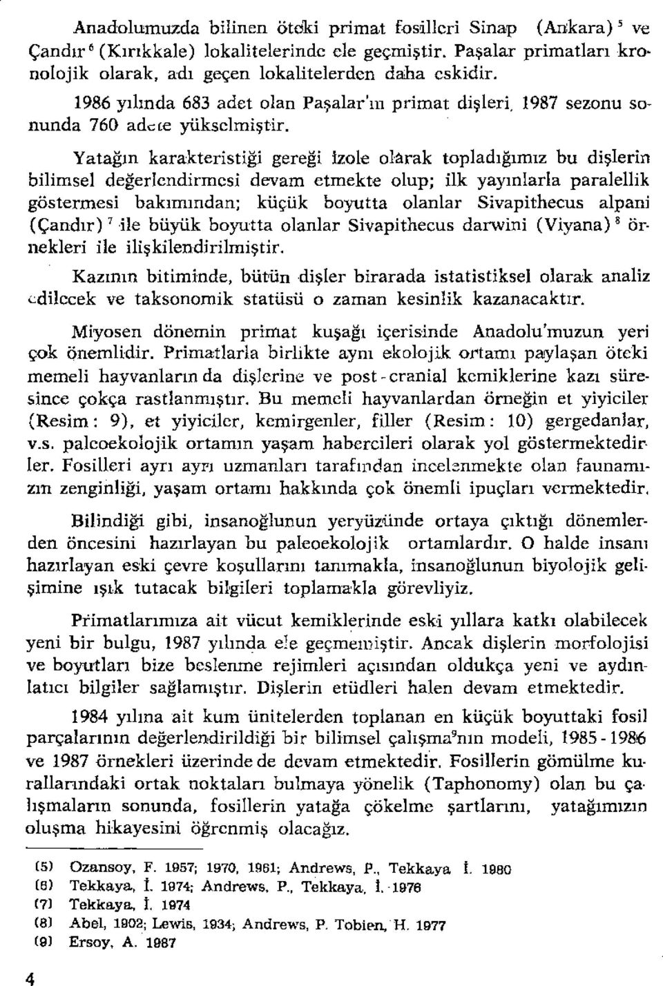 Yatağın karakteristiği gereği izole olarak topladığımız bu dişlerin bilimsel değerlendirmesi devam etmekte olup; ilk yayınlarla paralellik göstermesi bakımından; küçük boyutta olanlar Sivapithecus