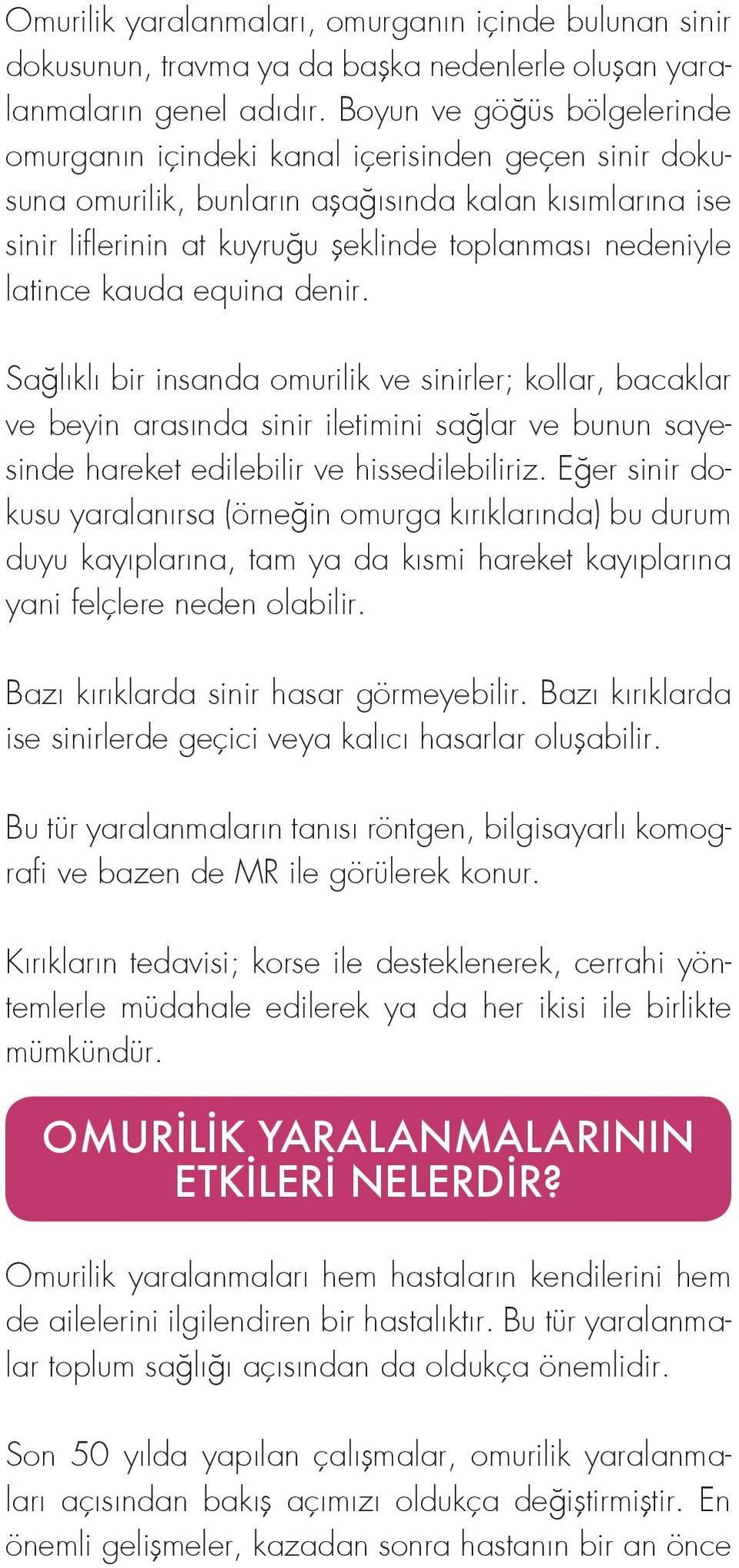 latince kauda equina denir. Sağlıklı bir insanda omurilik ve sinirler; kollar, bacaklar ve beyin arasında sinir iletimini sağlar ve bunun sayesinde hareket edilebilir ve hissedilebiliriz.