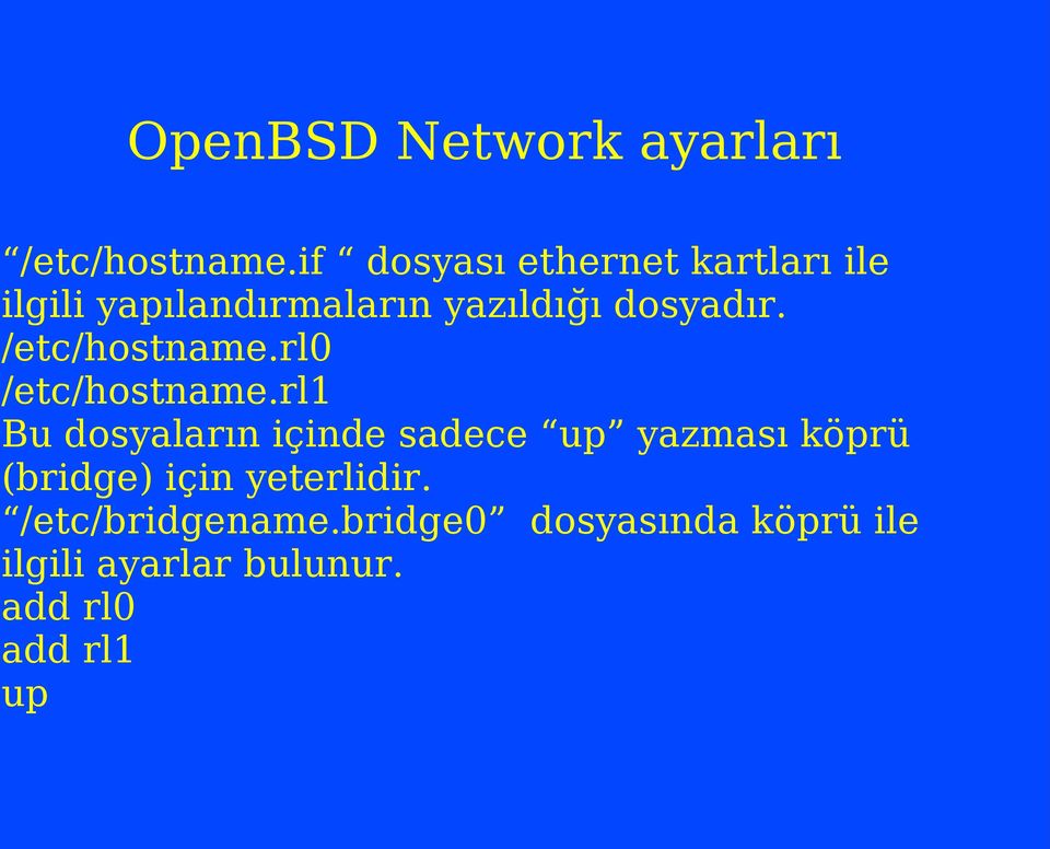 /etc/hostname.rl0 /etc/hostname.