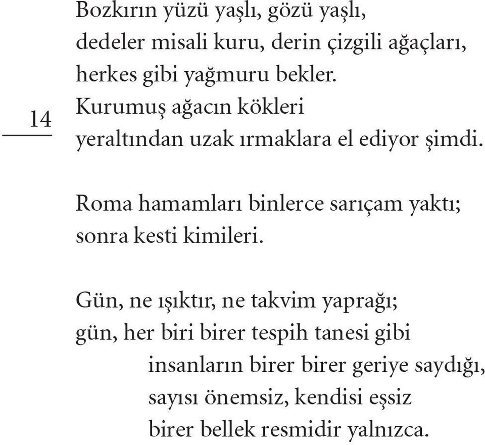 Roma hamamları binlerce sarıçam yaktı; sonra kesti kimileri.