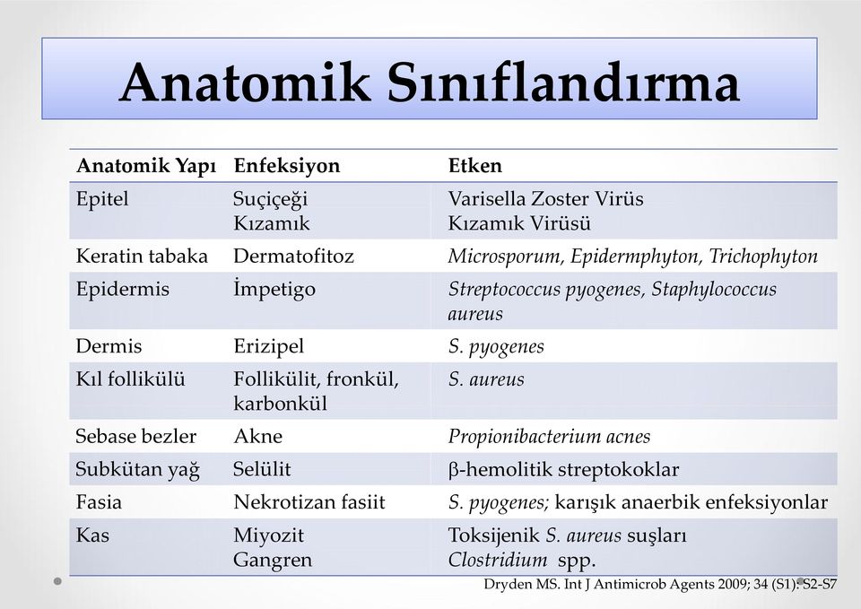 pyogenes Kıl follikülü Follikülit, fronkül, karbonkül S.