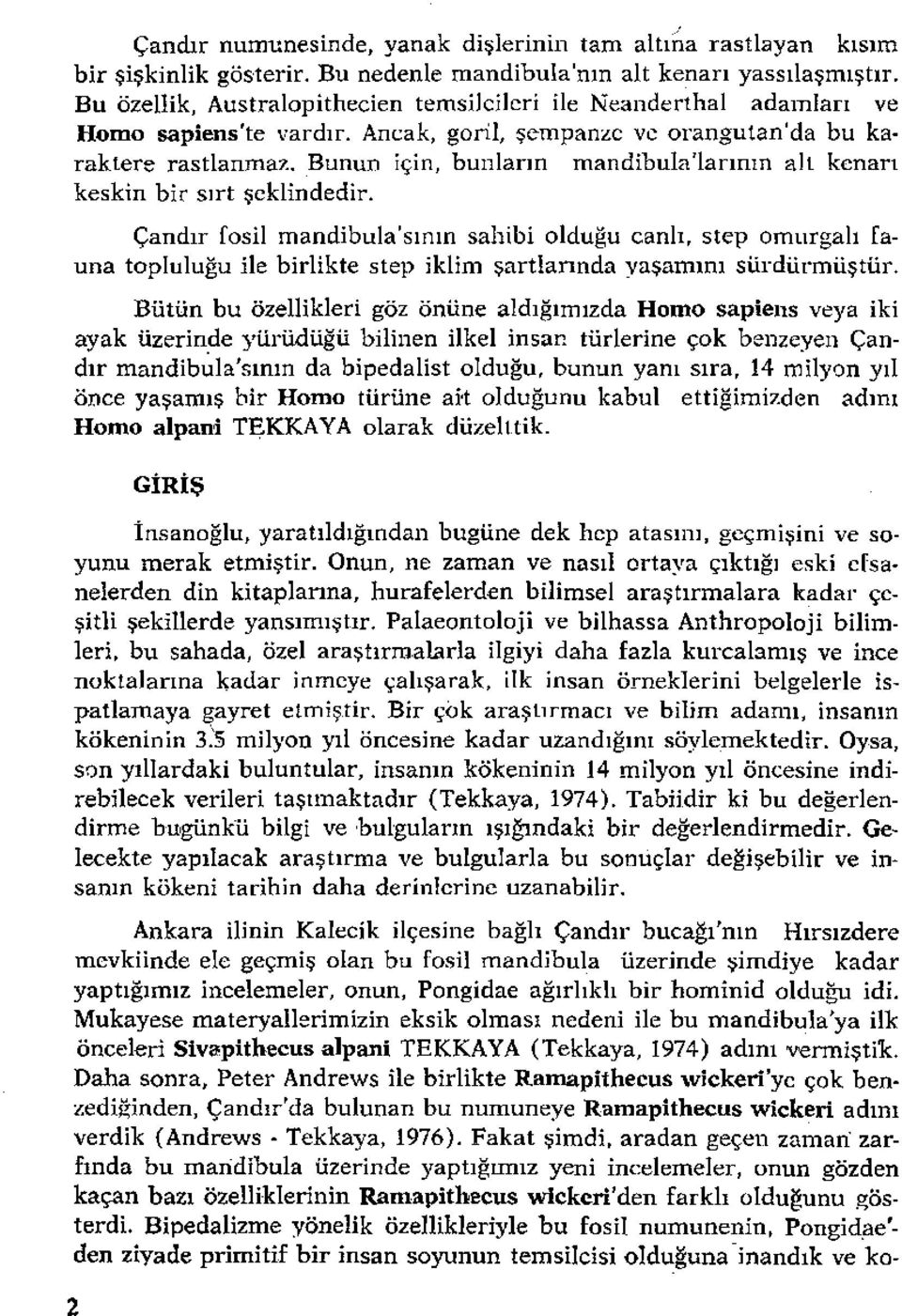 Bunun için, bunların mandibula'larının alt kenarı keskin bir sırt şeklindedir.