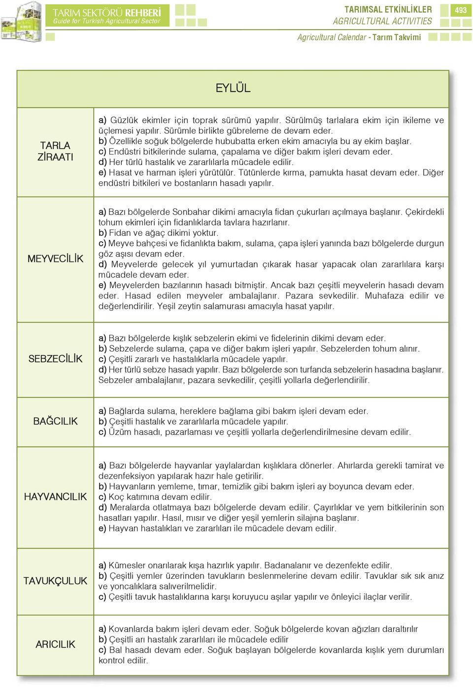 d) Her türlü hastalık ve zararlılarla mücadele edilir. e) Hasat ve harman işleri yürütülür. Tütünlerde kırma, pamukta hasat devam eder. Diğer endüstri bitkileri ve bostanların hasadı yapılır.