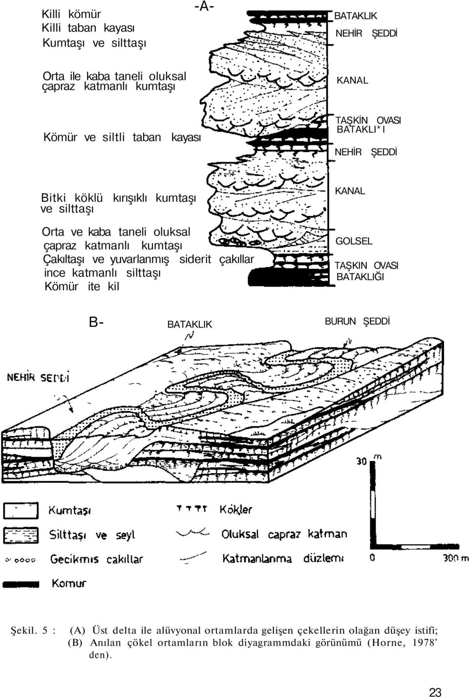 Çakıltaşı ve yuvarlanmış siderit çakıllar ince katmanlı silttaşı Kömür ite kil KANAL GOLSEL TAŞKIN OVASI BATAKLIĞI B- BATAKLIK BURUN ŞEDDİ Şekil.