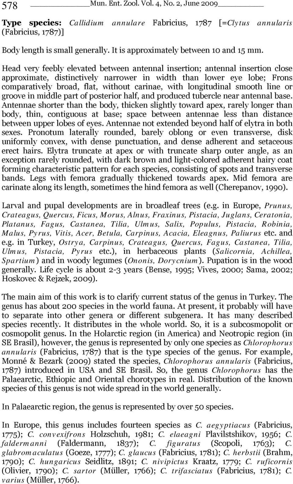 Head very feebly elevated between antennal insertion; antennal insertion close approximate, distinctively narrower in width than lower eye lobe; Frons comparatively broad, flat, without carinae, with