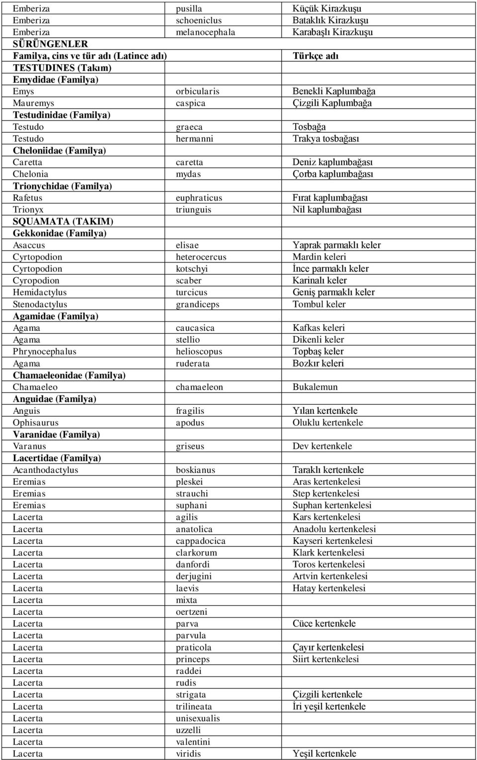 Caretta caretta Deniz kaplumbağası Chelonia mydas Çorba kaplumbağası Trionychidae (Familya) Rafetus euphraticus Fırat kaplumbağası Trionyx triunguis Nil kaplumbağası SQUAMATA (TAKIM) Gekkonidae
