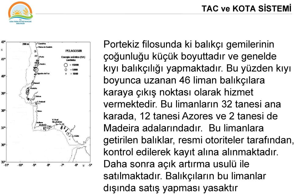 Bu limanların 32 tanesi ana karada, 12 tanesi Azores ve 2 tanesi de Madeira adalarındadır.