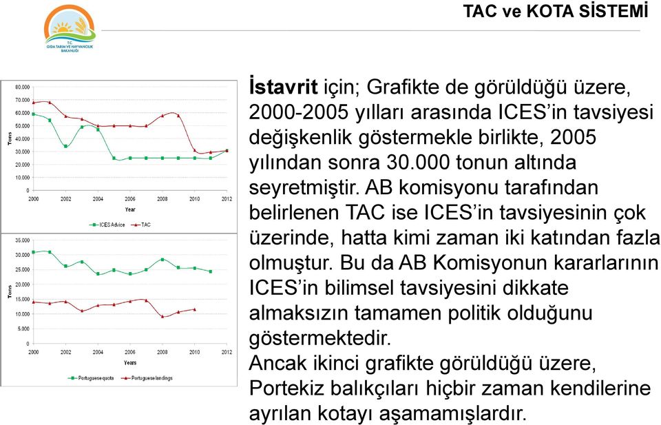 AB komisyonu tarafından belirlenen TAC ise ICES in tavsiyesinin çok üzerinde, hatta kimi zaman iki katından fazla olmuģtur.