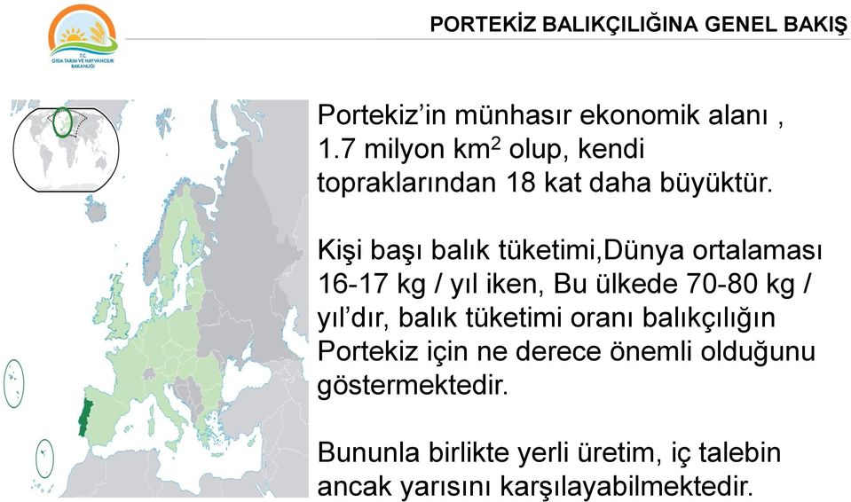 KiĢi baģı balık tüketimi,dünya ortalaması 16-17 kg / yıl iken, Bu ülkede 70-80 kg / yıl dır, balık