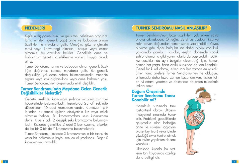 Turner Sendromu; anne ve babadan al nan genetik özelli in de iflmesi sonucu meydana gelir. Bu genetik de iflikli e yol açan sebep bilinmemektedir.