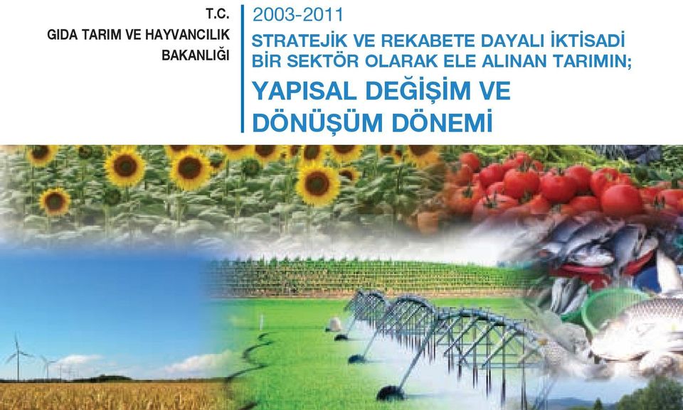 REKABETE DAYALI İKTİSADİ BİR SEKTÖR