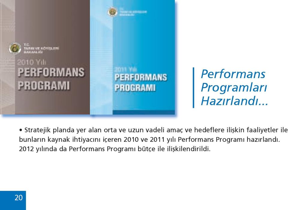 ilişkin faaliyetler ile bunların kaynak ihtiyacını içeren 2010 ve