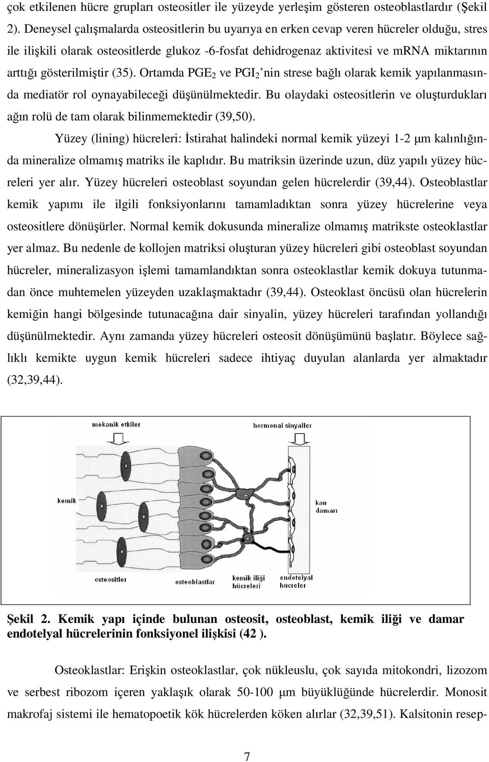 gösterilmiştir (35). Ortamda PGE 2 ve PGI 2 nin strese bağlı olarak kemik yapılanmasında mediatör rol oynayabileceği düşünülmektedir.