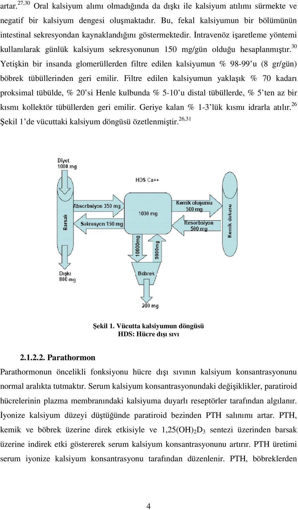 30 Yetişkin bir insanda glomerüllerden filtre edilen kalsiyumun % 98-99 u (8 gr/gün) böbrek tübüllerinden geri emilir.