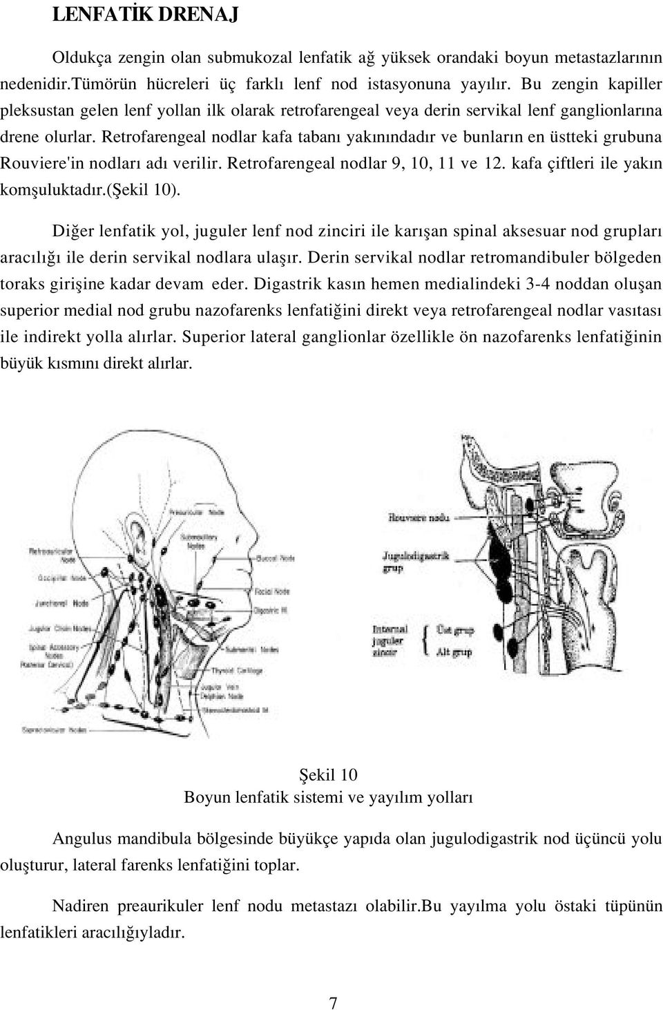 Retrofarengeal nodlar kafa taban yak n ndad r ve bunlar n en üstteki grubuna Rouviere'in nodlar ad verilir. Retrofarengeal nodlar 9, 10, 11 ve 12. kafa çiftleri ile yak n komfluluktad r.(fiekil 10).