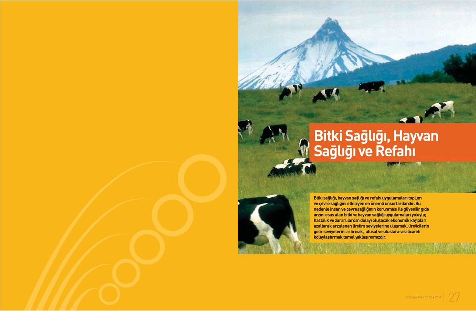 Bu nedenle insan ve çevre saðlýðýnýn korunmasý ile güvenilir gýda arzýný esas alan bitki ve hayvan saðlýðý uygulamalarý