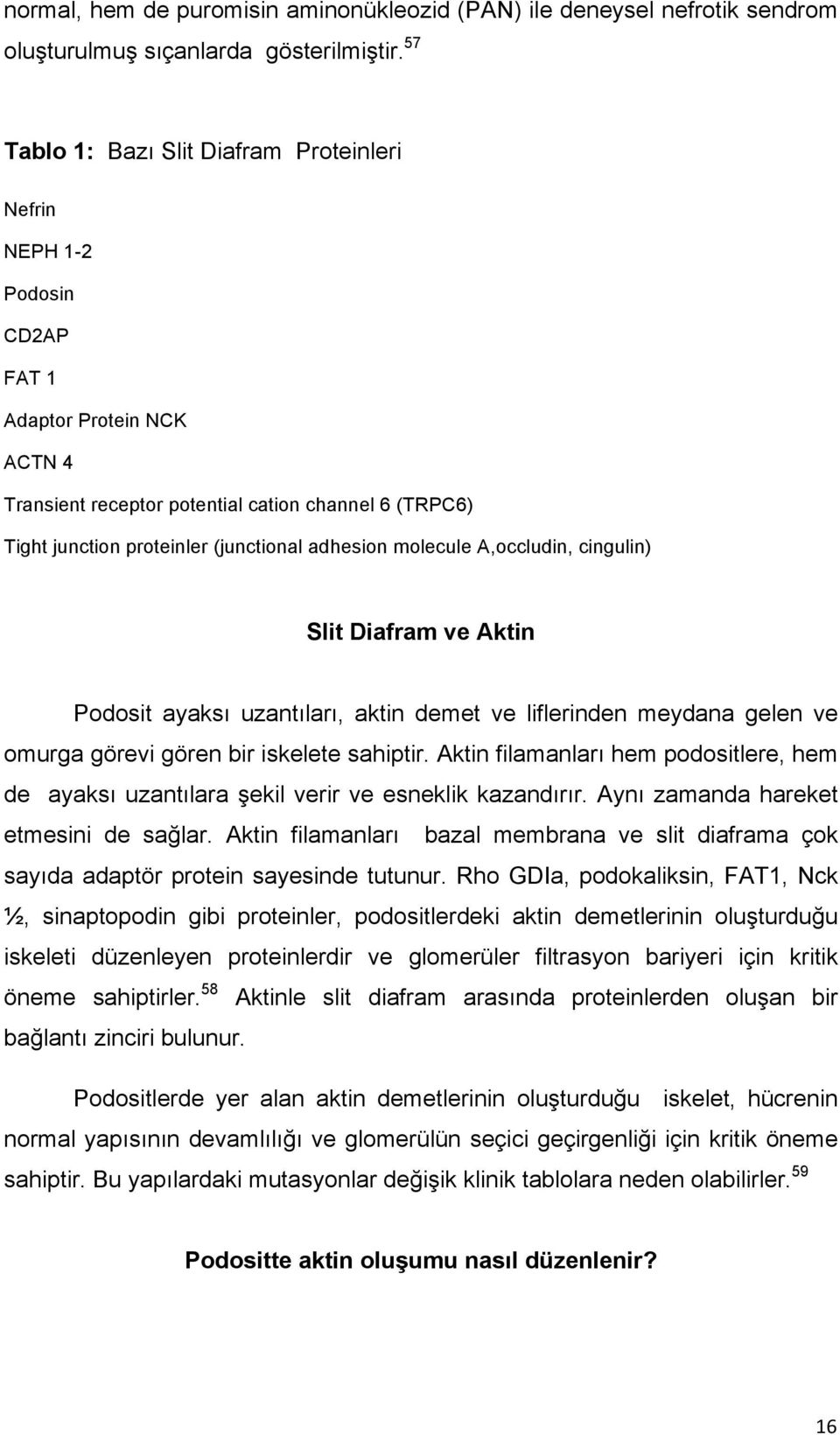 adhesion molecule A,occludin, cingulin) Slit Diafram ve Aktin Podosit ayaksı uzantıları, aktin demet ve liflerinden meydana gelen ve omurga görevi gören bir iskelete sahiptir.