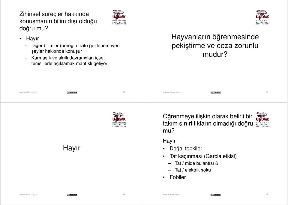 temsillerle açıklamak mantıklı geliyor Hayvanların öğrenmesinde pekiştirme ve ceza zorunlu mudur?