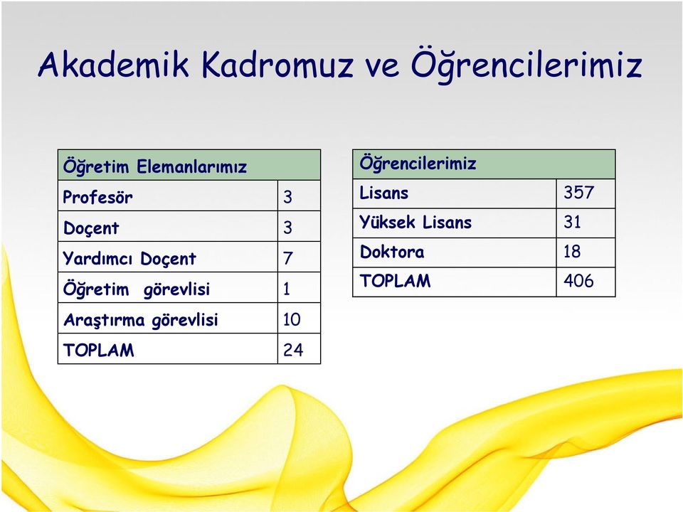 Öğretim görevlisi 1 Araştırma görevlisi 10 TOPLAM 24