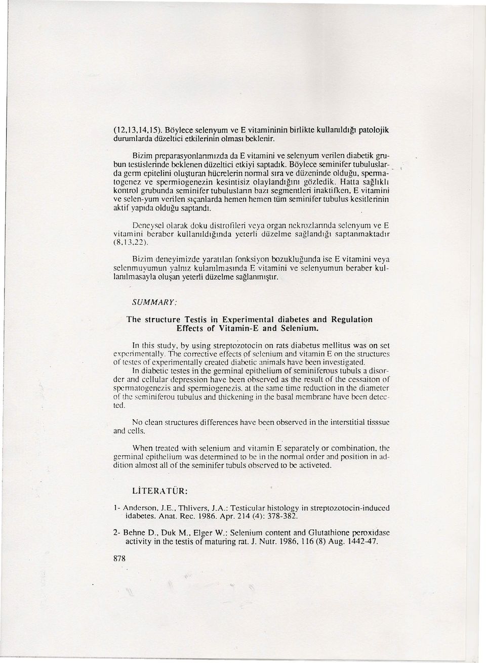 Böylece seminifer tubuluslar-, da germ epitelini oluşturan hücrelerin nonnal sıra ve düzeninde olduğu, sperma- -. togenez ve spenniogenezin kesintisiz olaylandığını gözledik.