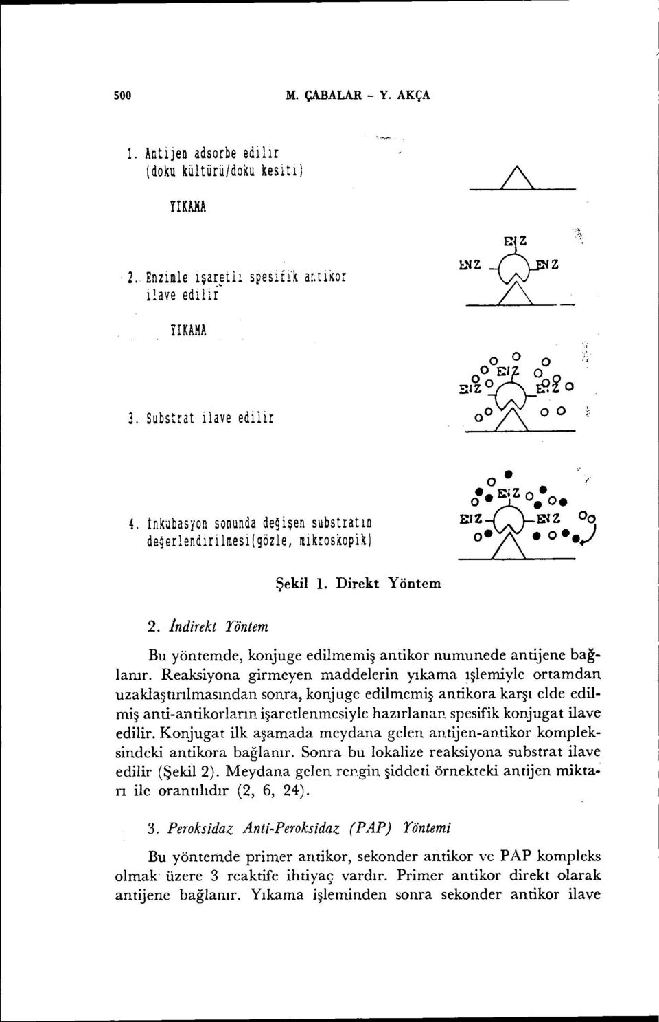 indirekt Yöntem Bu yöntemde, konjuge edilmemiş antikor numunede antijene bağlarıır.