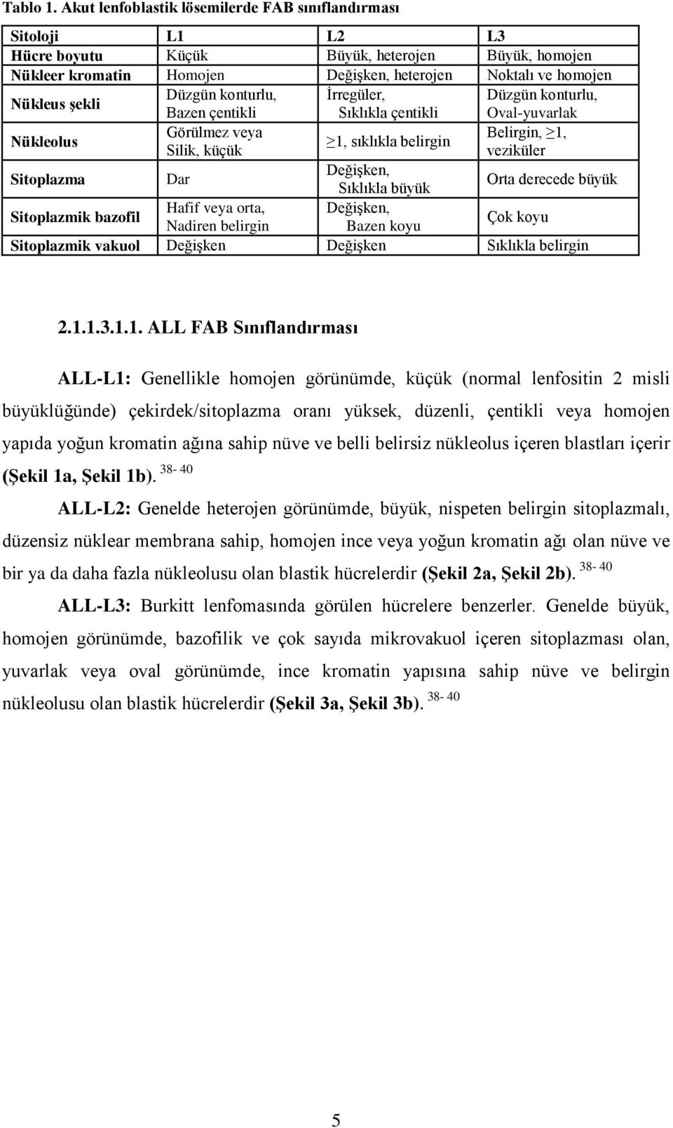 Düzgün konturlu, İrregüler, Düzgün konturlu, Bazen çentikli Sıklıkla çentikli Oval-yuvarlak Nükleolus Görülmez veya Silik, küçük 1, sıklıkla belirgin Belirgin, 1, veziküler Değişken, Sitoplazma Dar