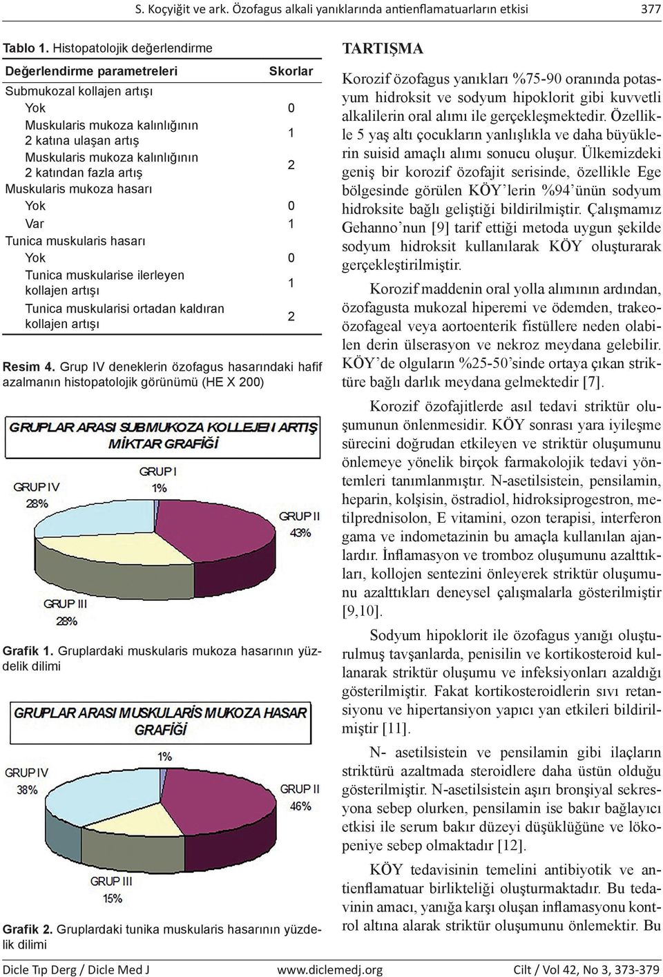 fazla artış 2 Muskularis mukoza hasarı Yok 0 Var 1 Tunica muskularis hasarı Yok 0 Tunica muskularise ilerleyen kollajen artışı 1 Tunica muskularisi ortadan kaldıran kollajen artışı 2 Resim 4.