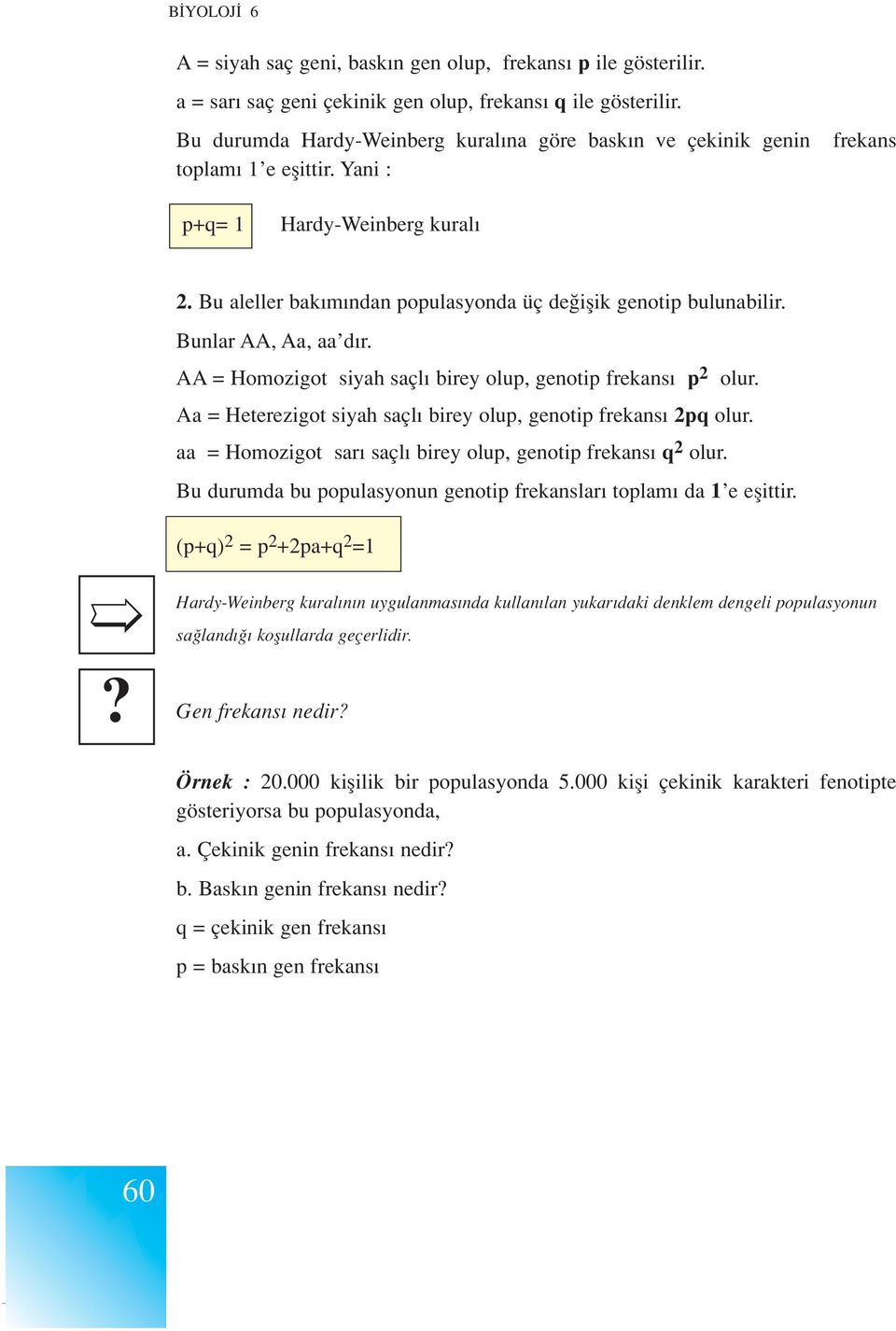 Bunlar AA, Aa, aa d r. AA = Homozigot siyah saçl birey olup, genotip frekans p 2 olur. Aa = Heterezigot siyah saçl birey olup, genotip frekans 2pq olur.