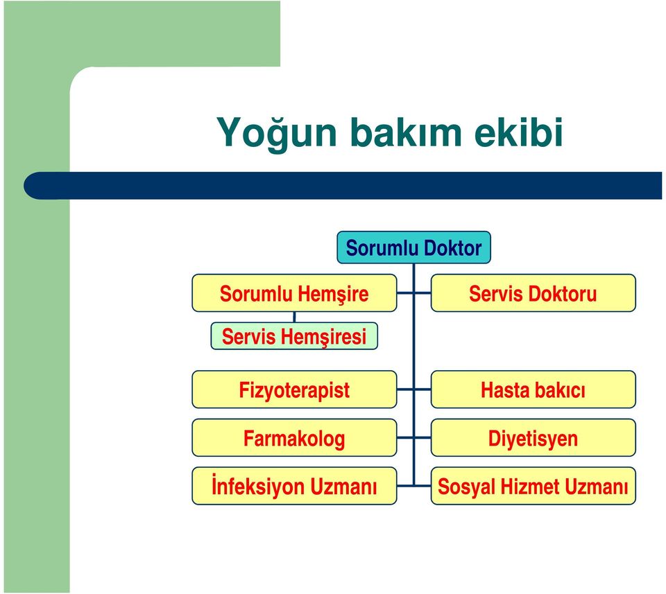 Fizyoterapist Farmakolog Đnfeksiyon